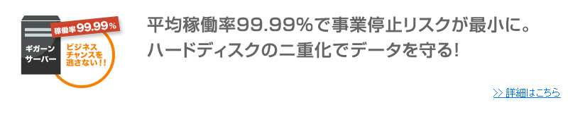平均稼働率99.99％で事業停止リスクが最小に。ハードディスクのニ重化でデータを守る！