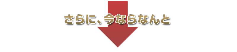 だからギガーンはWebサイトの表示速度に強いんです！さらに今ならキャンペーン中！