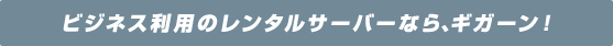 ビジネス利用のレンタルサーバーなら、ギガーン！