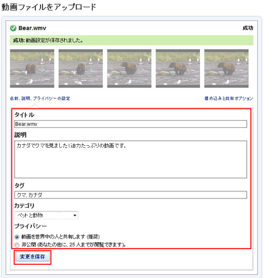 動画の情報を入力